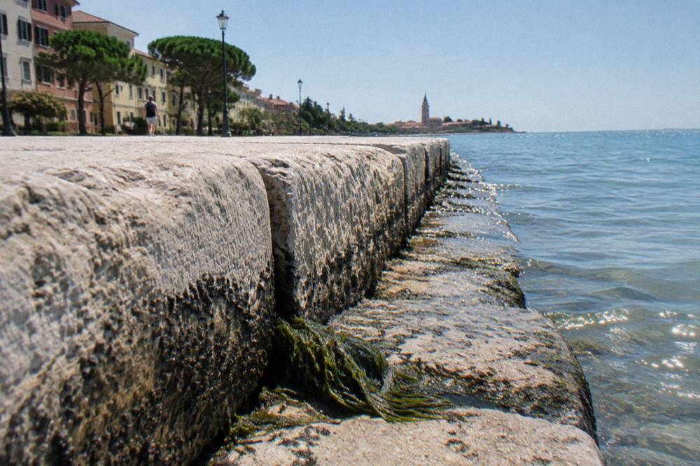 A stone seawall curving along a shoreline with open sea on one side and an empty promenade on the other